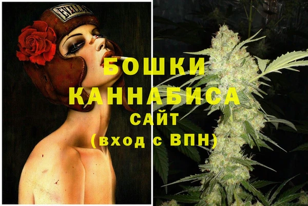 сатива Елабуга