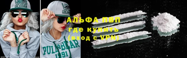 стафф Елизово