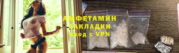 PSILOCYBIN Ельня