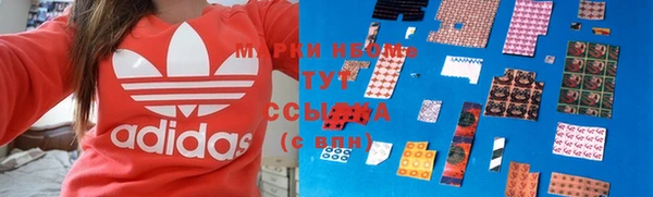 стафф Елизово