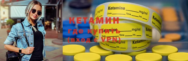 PSILOCYBIN Ельня