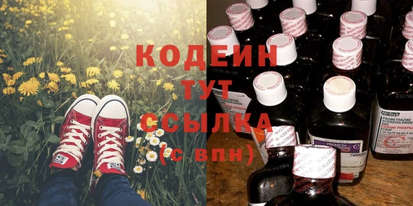 стафф Елизово