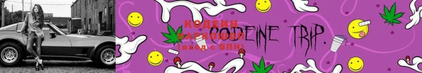 PSILOCYBIN Ельня
