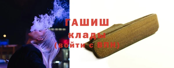 PSILOCYBIN Ельня