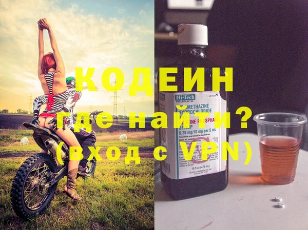 PSILOCYBIN Ельня