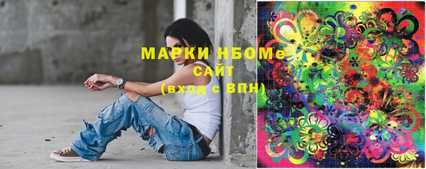 PSILOCYBIN Ельня
