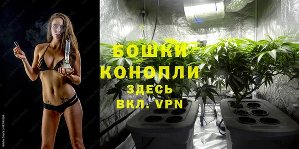 сатива Елабуга