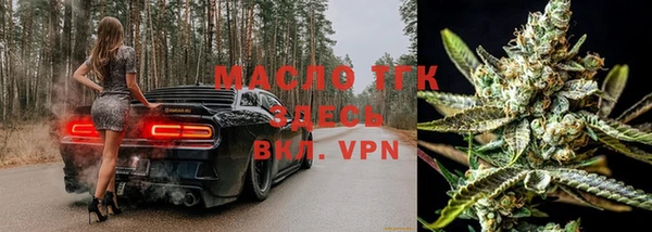PSILOCYBIN Ельня