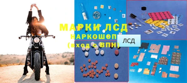 стафф Елизово