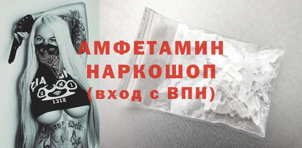 PSILOCYBIN Ельня