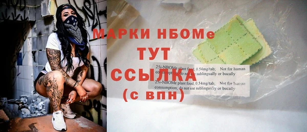 сатива Елабуга