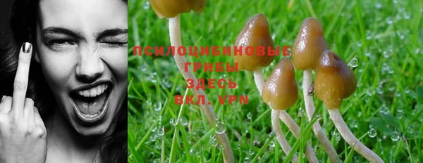 PSILOCYBIN Ельня