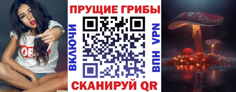 Псилоцибиновые грибы мухоморы  Яхрома 